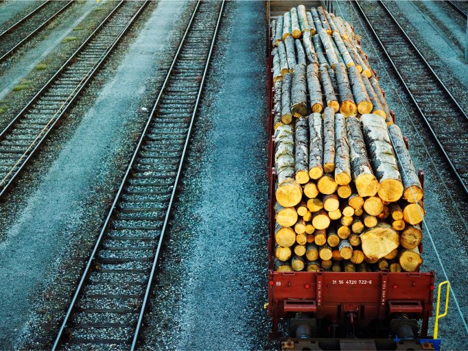 Rail Cargo Group freight train with logs